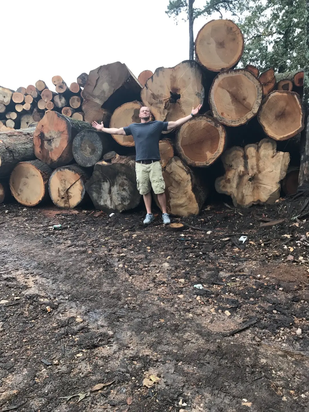 Karl Gillihan standing at a deck of felled hardwood logs at a timber landing