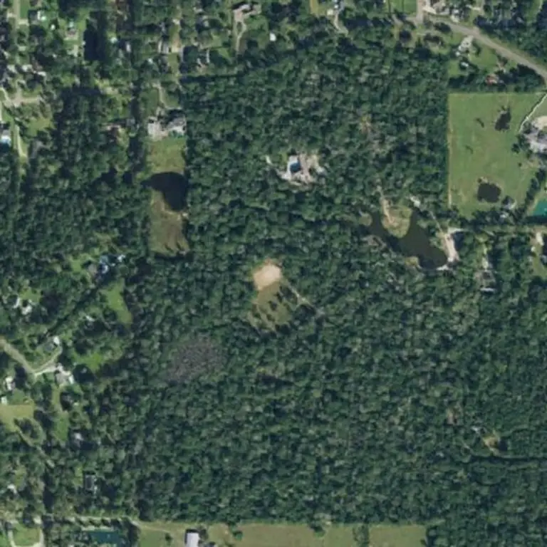 Aerial photo of a densely wooded tract in Hardin County, Texas, solid canopy with no ground visible