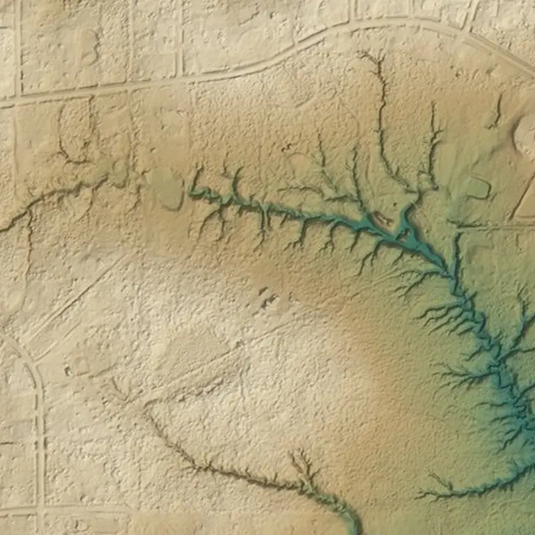 LiDAR bare-earth elevation of the same tract showing a ridge of high ground and a branching drainage network