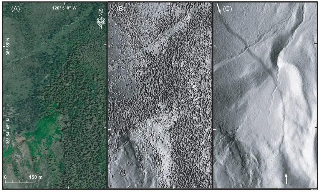 Three panels of the same forested hillside: an aerial photo showing only trees, a first-return LiDAR image of the canopy, and a bare-earth LiDAR image revealing a fault line and drainages hidden under the forest