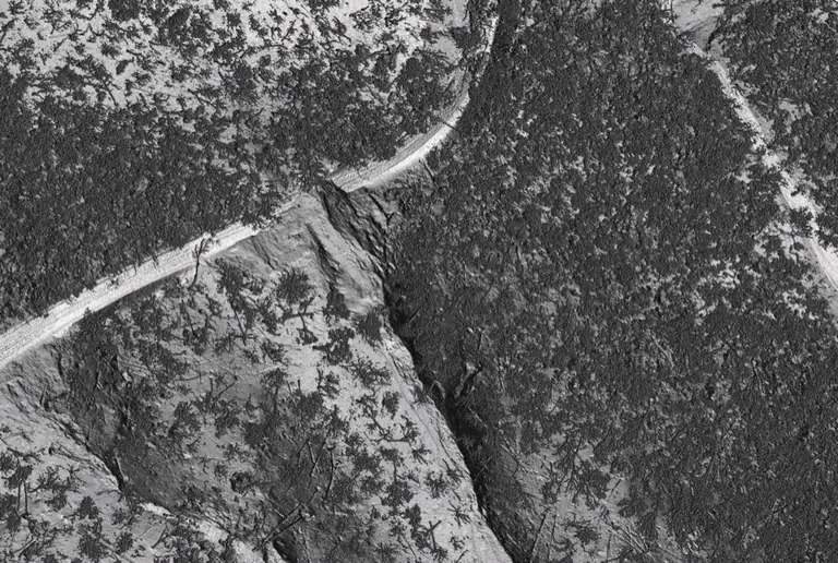 LiDAR point cloud of a wooded mountainside and road with the trees still in it
